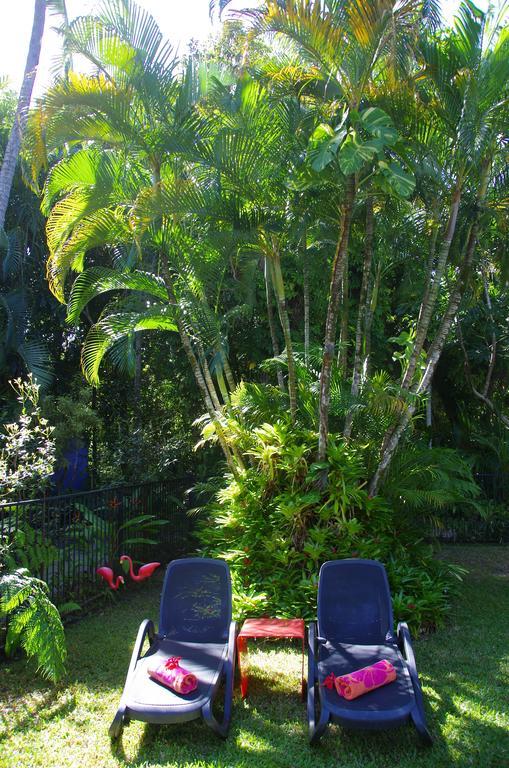 Pink Flamingo Resort Port Douglas Exterior photo