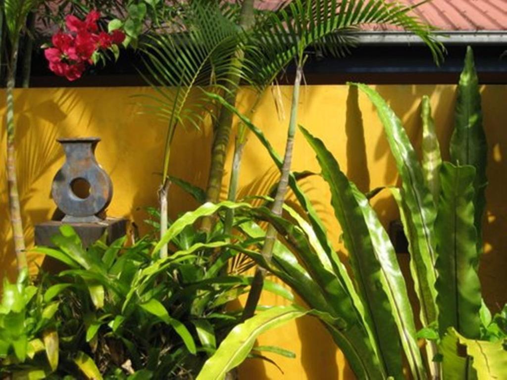 Pink Flamingo Resort Port Douglas Exterior photo