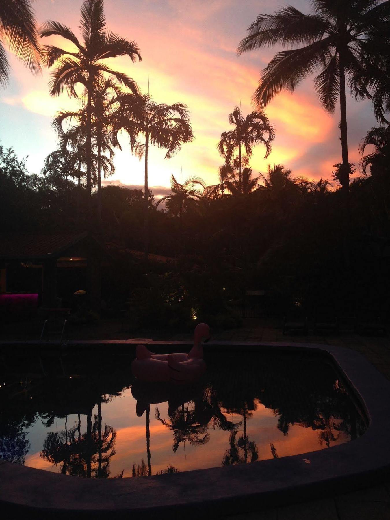 Pink Flamingo Resort Port Douglas Exterior photo