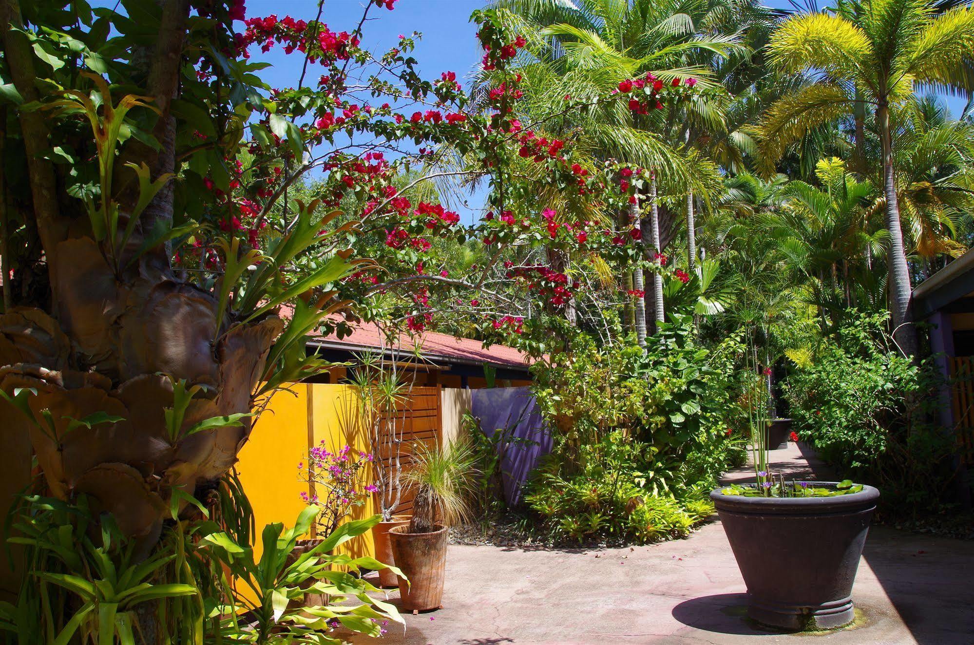 Pink Flamingo Resort Port Douglas Exterior photo