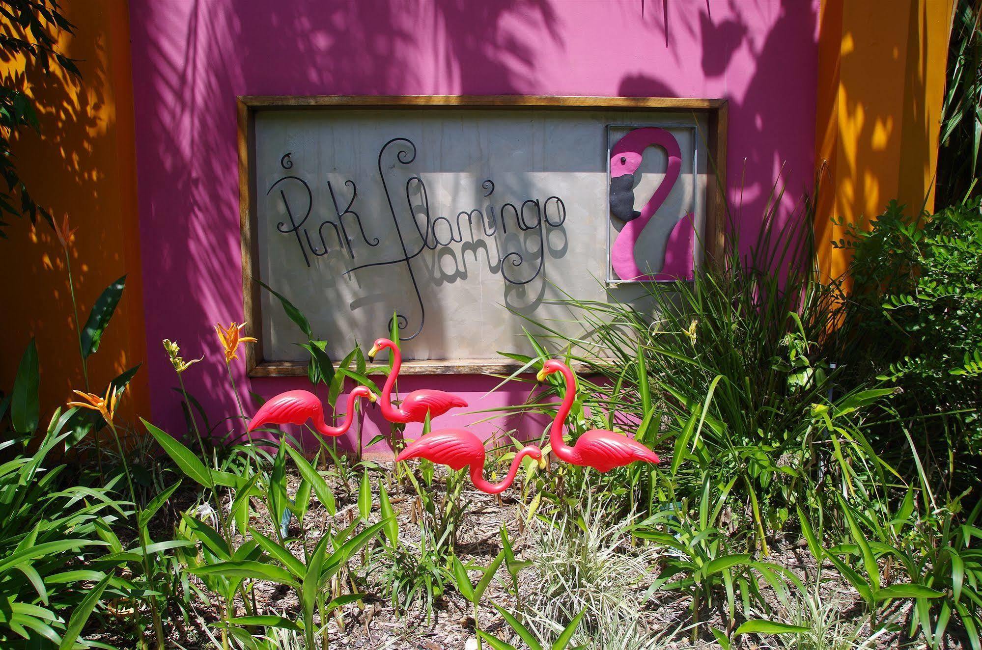 Pink Flamingo Resort Port Douglas Exterior photo